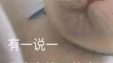 【英超独家揭秘】13战全红！独家比分解析，胜负幕后大揭秘！