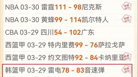馬賽足球隊簡述